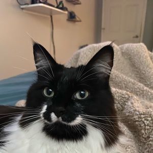 Meet your Posher, Clare